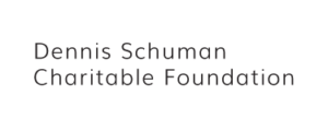 Dennis Schumann Charitable Foundation logo featuring a distinctive design representing philanthropy and community support.