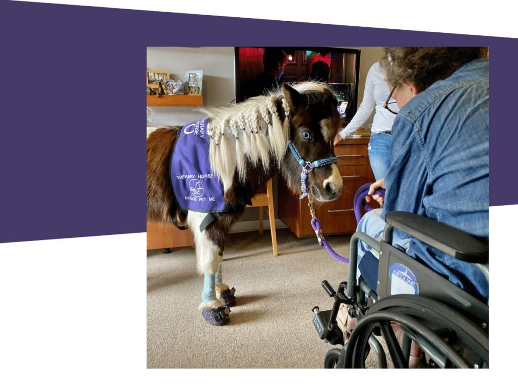 A woman in a wheelchair gently pets a miniature horse, showcasing a moment of connection and joy.